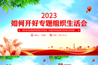 如何召开专题组织生活会PPT简洁党政风基层党组织党支部组织生活会模板