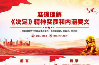 大气精美全面理解《决定》精神实质和内涵要义PPT党员干部学习教育党课课件