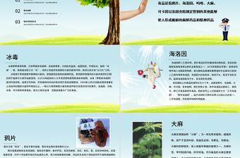 简约大气国际禁毒日无毒青春健康生活青少年毒品预防教育主题班会PPT模板