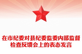 优质在市纪委对县纪委监委内部监督检查反馈会上的表态发言
