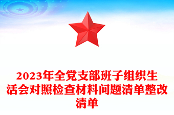 精品全党支部班子组织生活会对照检查材料问题清单整改清单
