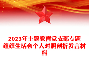 精品主题教育党支部专题组织生活会个人对照剖析发言材料PPT(讲稿)