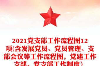 优质党支部工作流程图12项(含发展党员、党员管理、支部会议等工作流程图，党建工作支部、党支部工作制度）