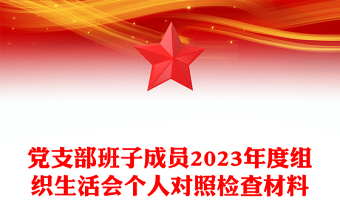 全新组织生活会个人对照检查材料PPT大气简洁党支部班子成员发言材料(讲稿)