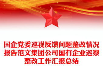 通用国企党委巡视反馈问题整改情况报告范文集团公司国有企业巡察整改工作汇报总结
