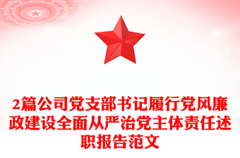 2025党风廉政主体责任情况汇报