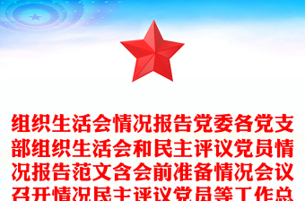 2025党员评议后党支部意见
