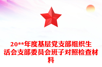 通用20**年度基层党支部组织生活会支部委员会班子对照检查材料