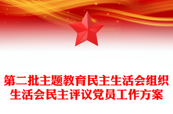 2025组织生活会中的建议