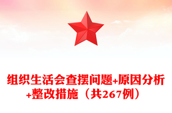 优质组织生活会查摆问题+原因分析+整改措施（共267例）
