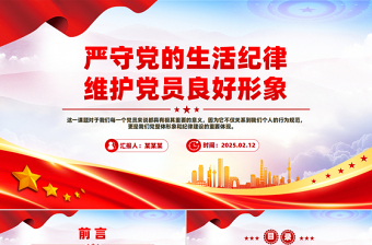 大气精美严守党的生活纪律维护党员良好形象PPT党课下载