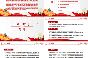 优秀新修订《全国人民代表大会和地方各级人民代表大会代表法》PPT课件模板