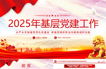 简洁大气2025年基层党建工作重点PPT党课